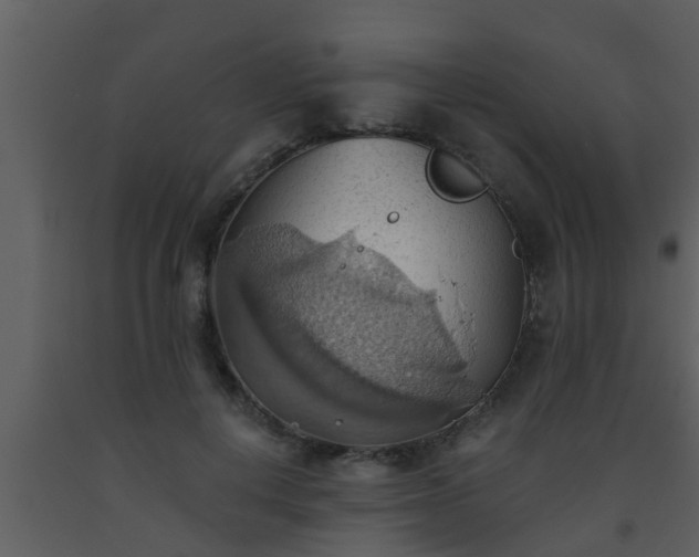 X0000093520648200710191333