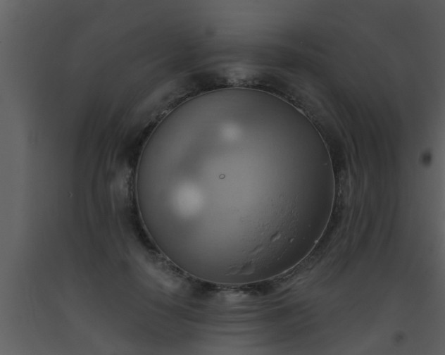 X0000093520650200710191333