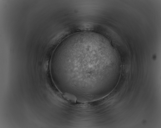 X0000093520652200710191333