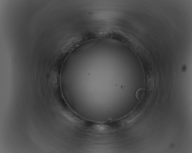 X0000093520654200710191333