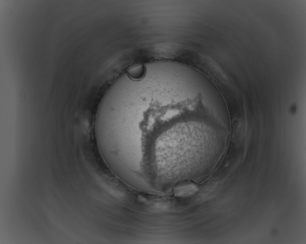 X0000093520655200710191333