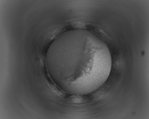 X0000093520658200710191333