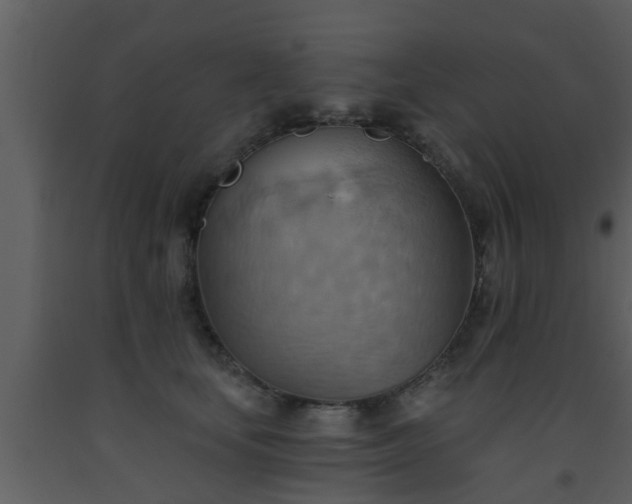 X0000093520659200710191333