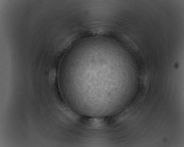 X0000093520660200710191333