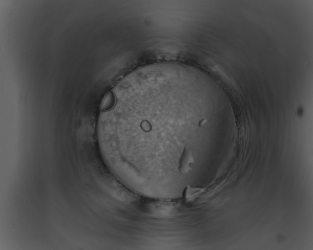 X0000093520661200710191333