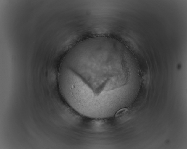 X0000093520662200710191333