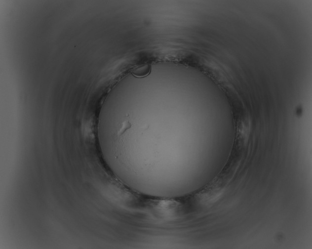 X0000093520663200710191333