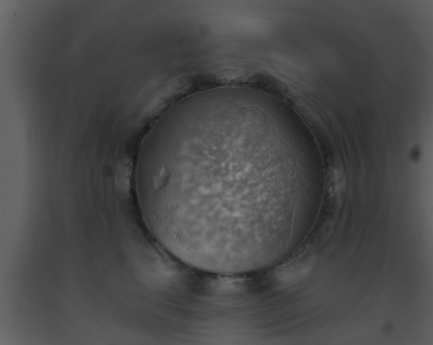 X0000093520664200710191333