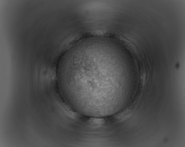 X0000093520665200710191333