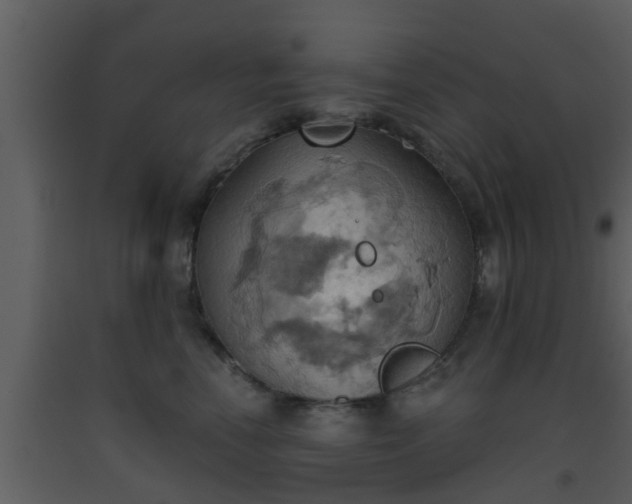 X0000093520666200710191333