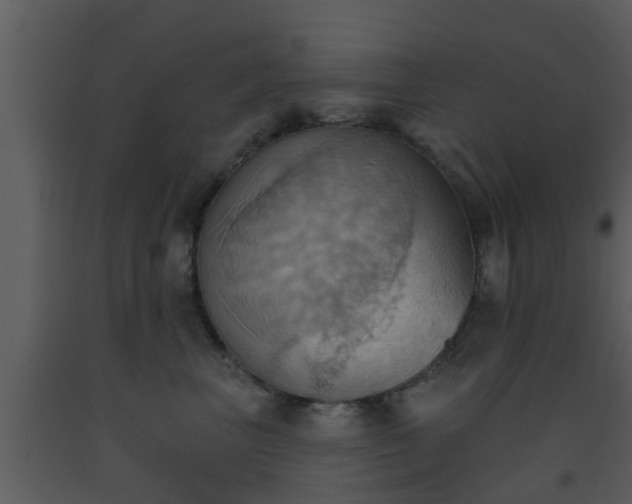 X0000093520667200710191333