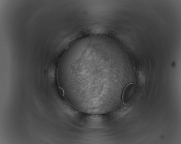 X0000093520668200710191333