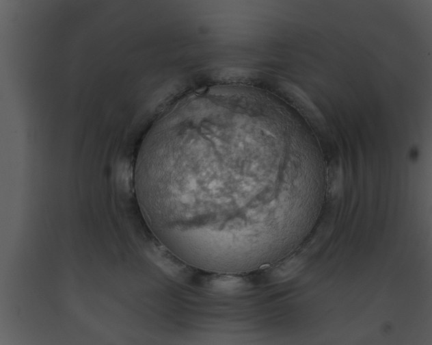 X0000093520669200710191333