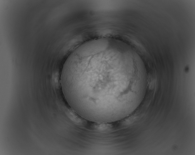 X0000093520670200710191333