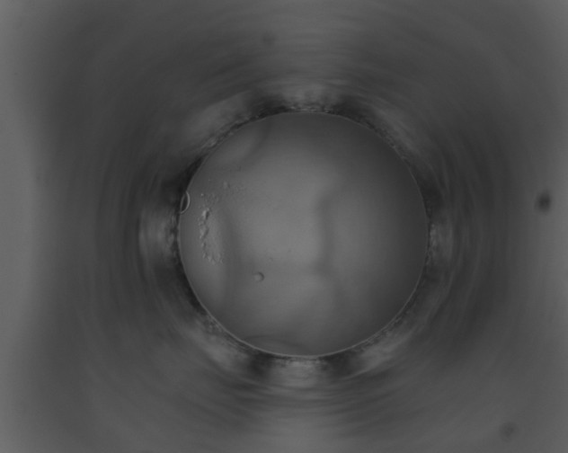 X0000093520671200710191333