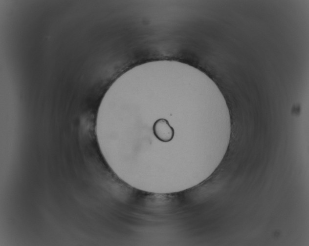 X0000093520672200710191333