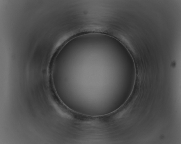 X0000093520674200710191333