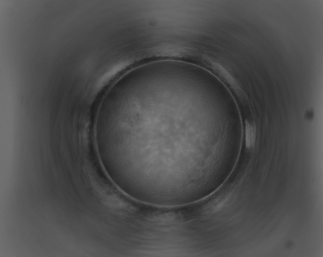 X0000093520675200710191333