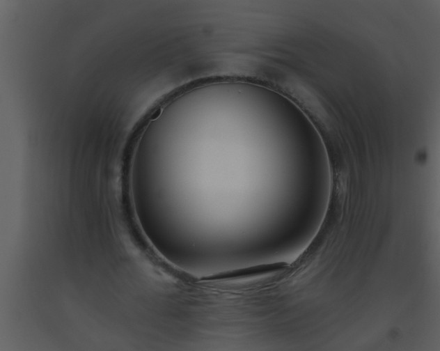 X0000093520676200710191333