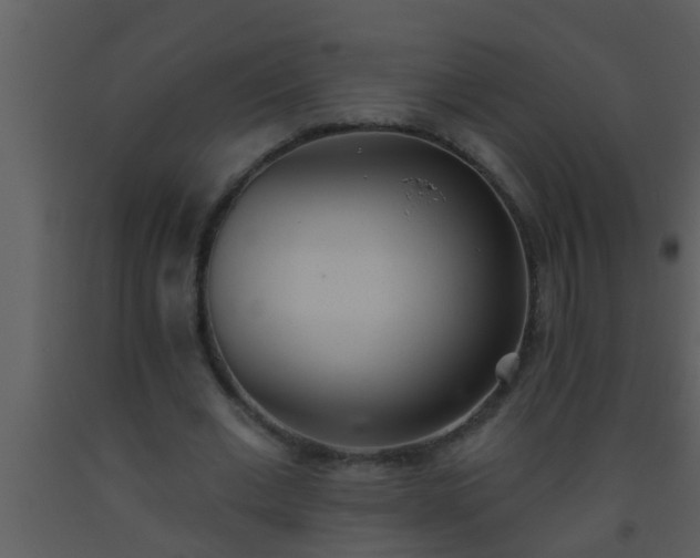 X0000093520677200710191333