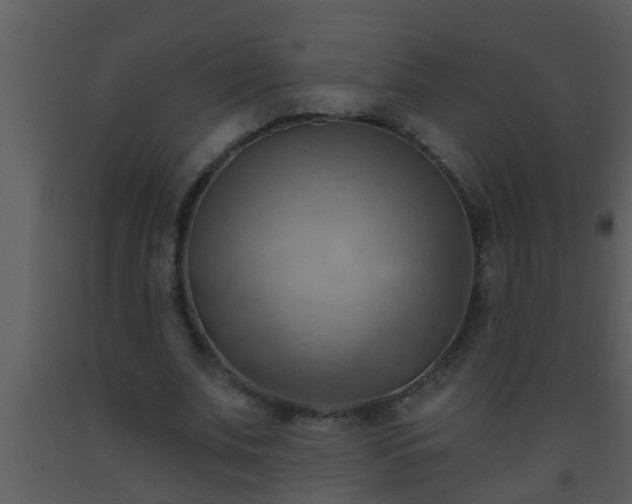 X0000093520679200710191333