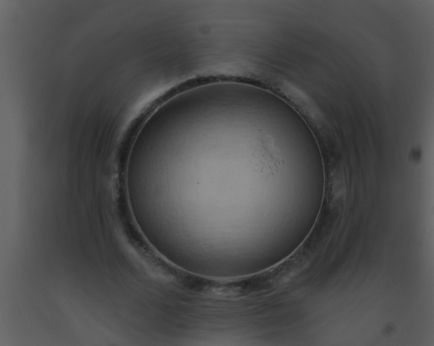 X0000093520680200710191333