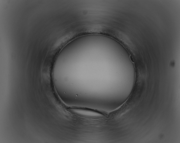 X0000093520681200710191333