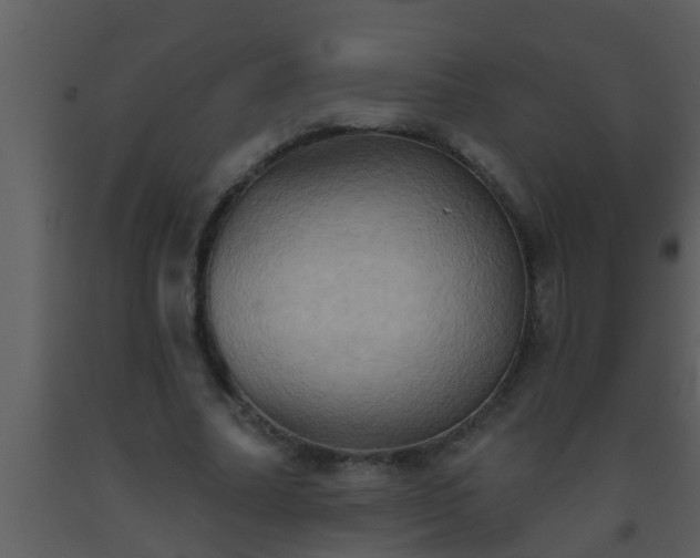 X0000093520682200710191333