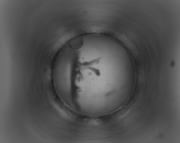 X0000093520683200710191333