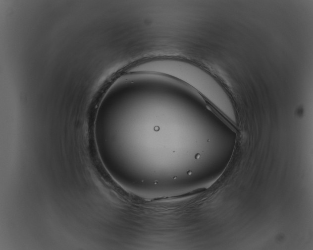 X0000093520684200710191333