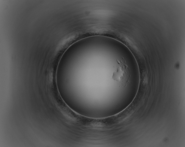 X0000093520685200710191333