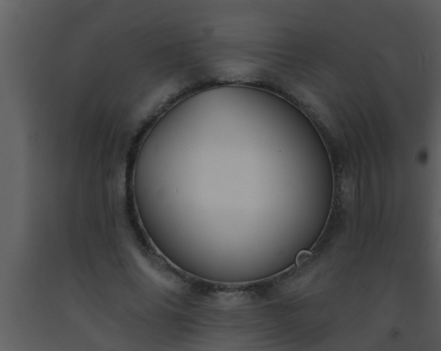 X0000093520686200710191333