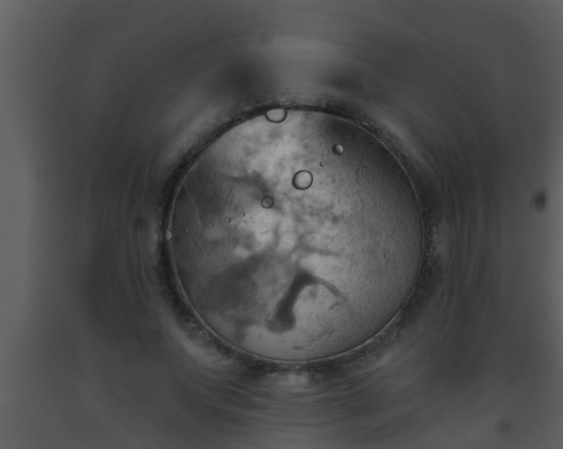 X0000093520687200710191333