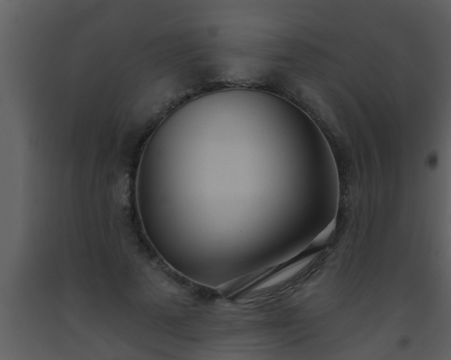 X0000093520689200710191332