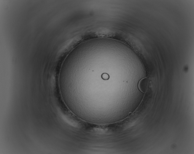 X0000093520690200710191332