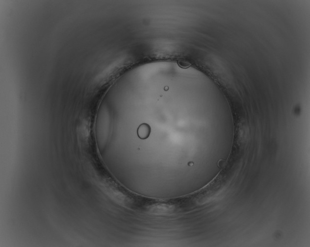 X0000093520691200710191332