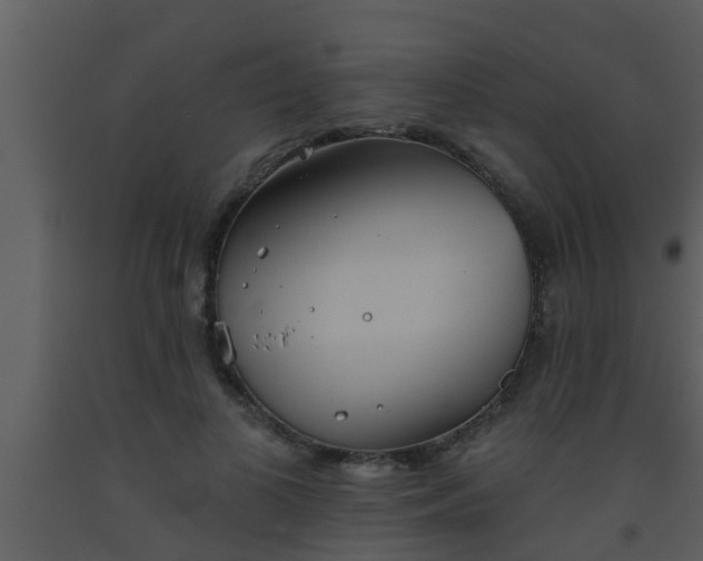 X0000093520693200710191332