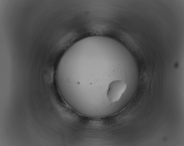 X0000093520694200710191332