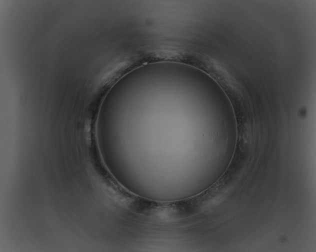 X0000093520696200710191332