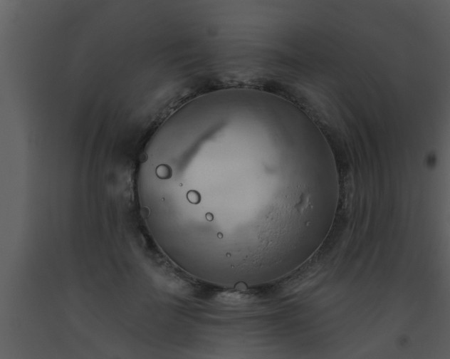 X0000093520699200710191332