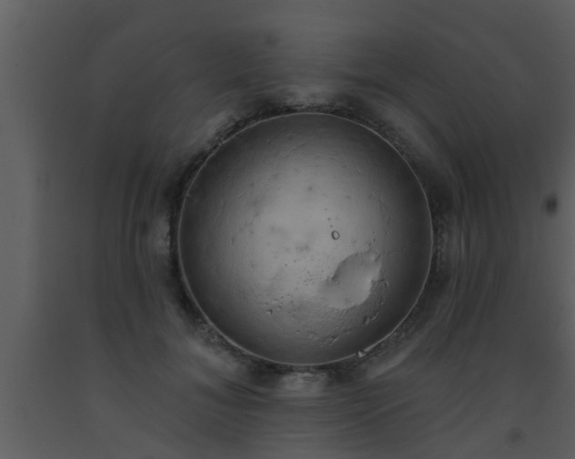 X0000093520700200710191332