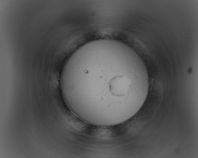 X0000093520702200710191332