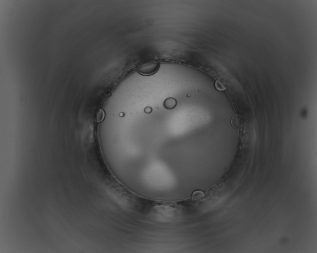 X0000093520703200710191332