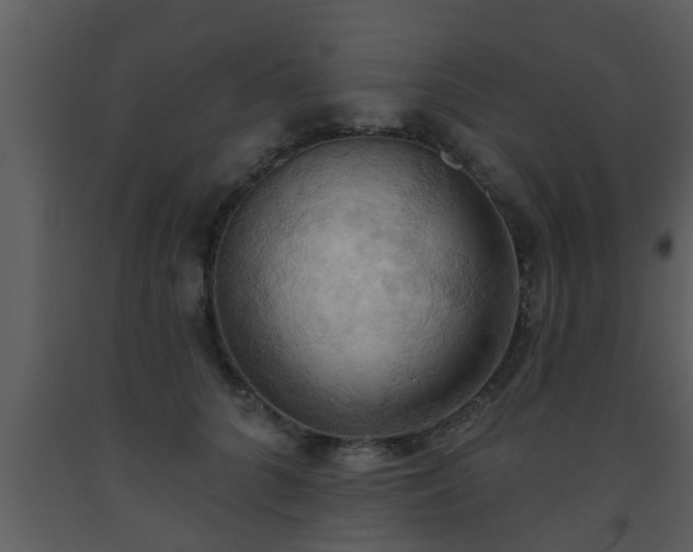 X0000093520704200710191332