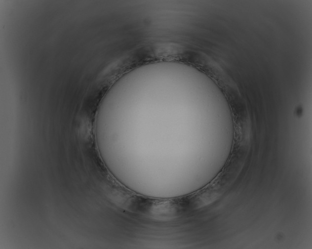 X0000093520705200710191332