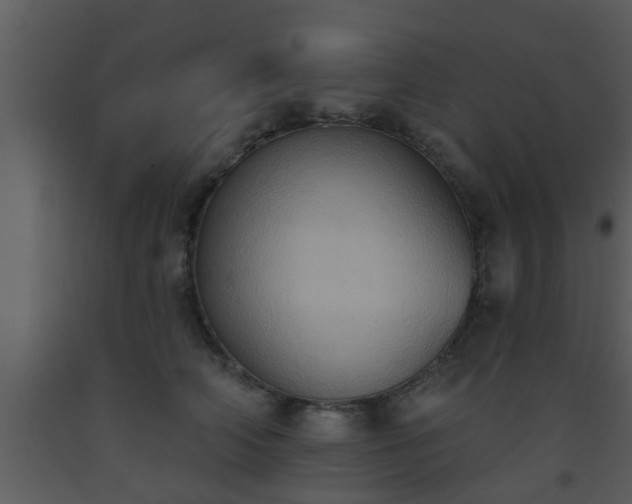 X0000093520706200710191332