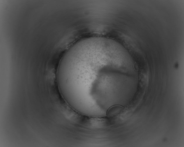 X0000093520707200710191332