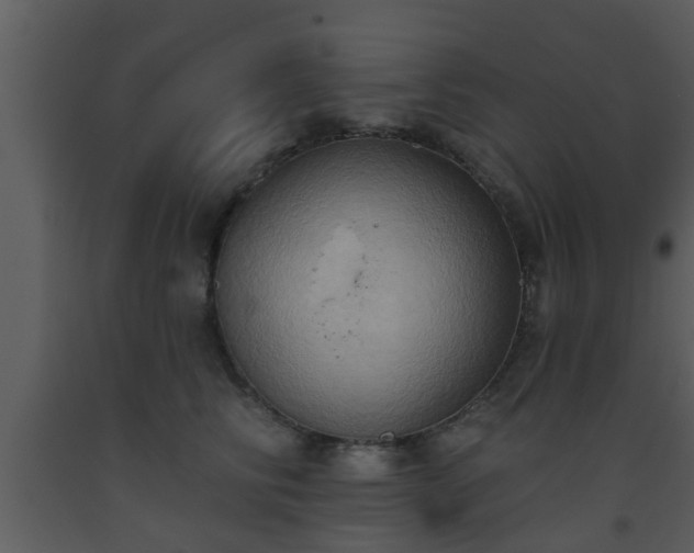 X0000093520710200710191332