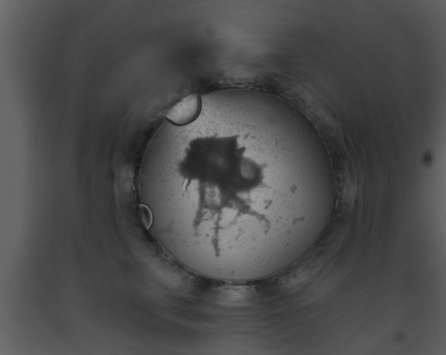 X0000093520711200710191332