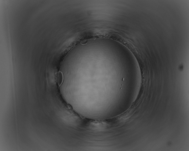 X0000093520712200710191332